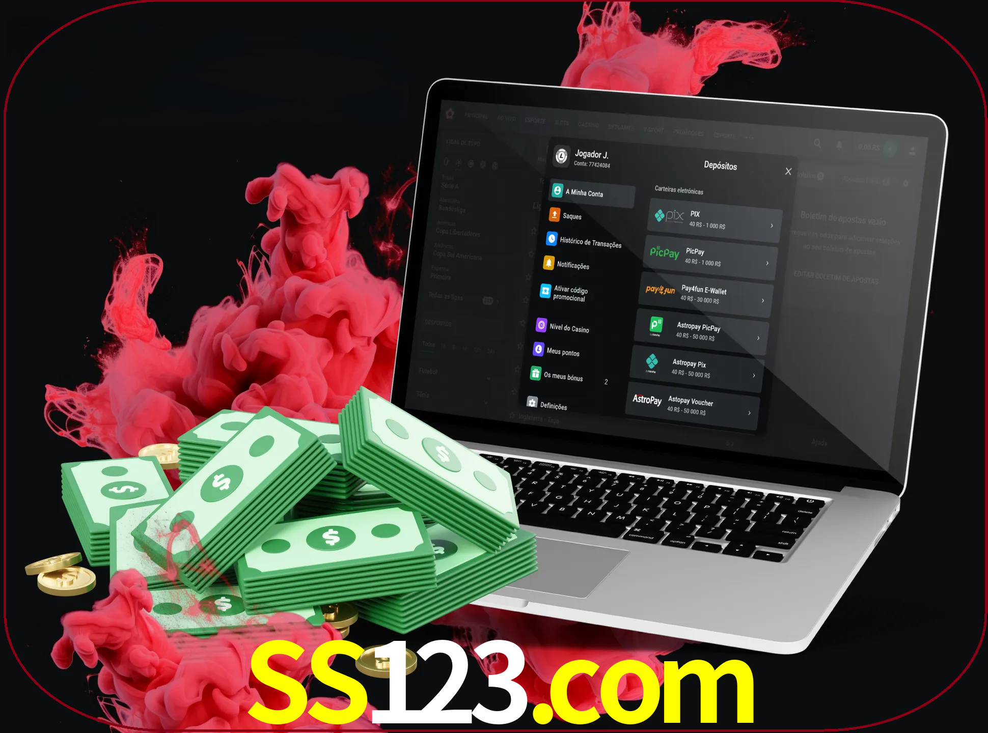 Para efetuar um depósito na sua conta ss123, basta escolher o método de depósito e especificar o montante.